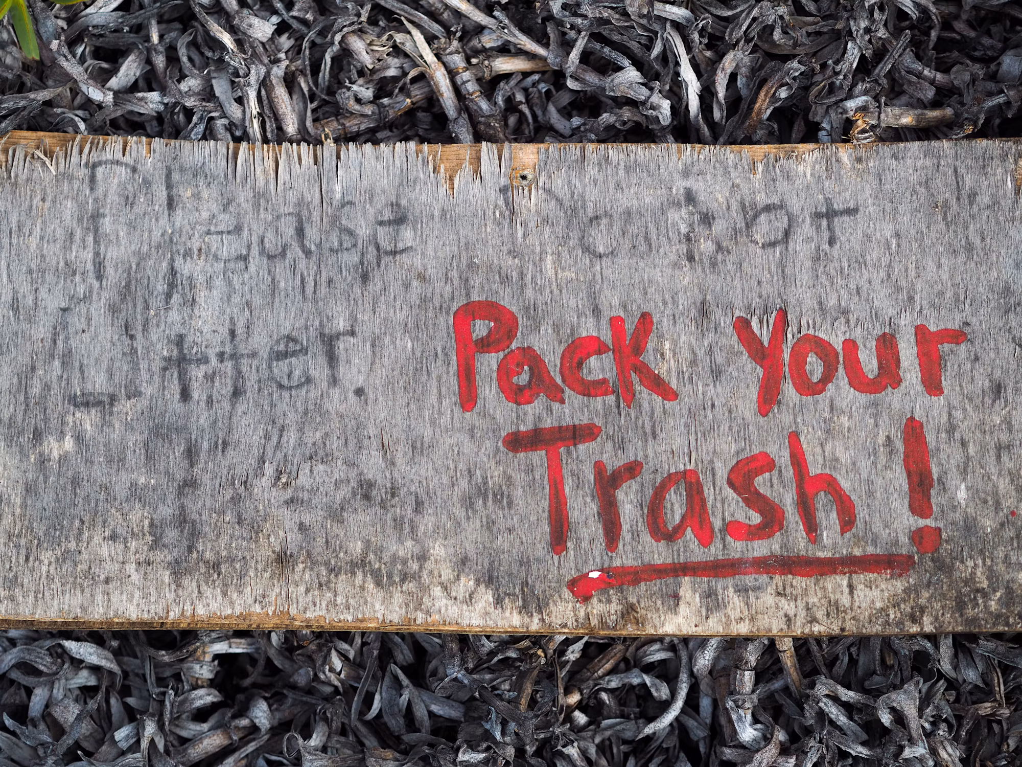 Exploring Nature: Your Ultimate Guide to Camping Success