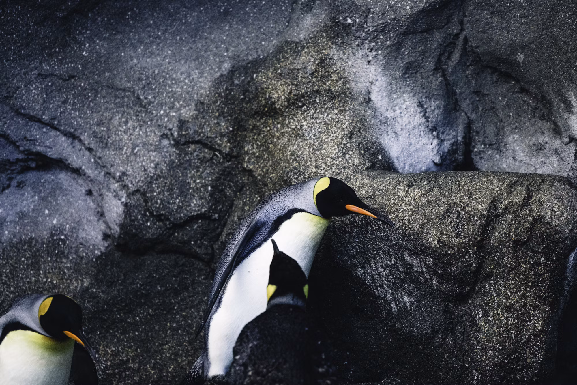 A Comprehensive Guide to Sustainable Camping: How to Explore Nature While Preserving It